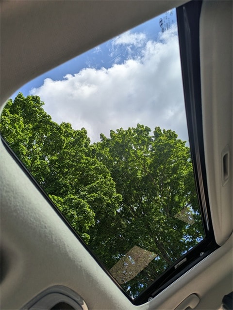 View 31