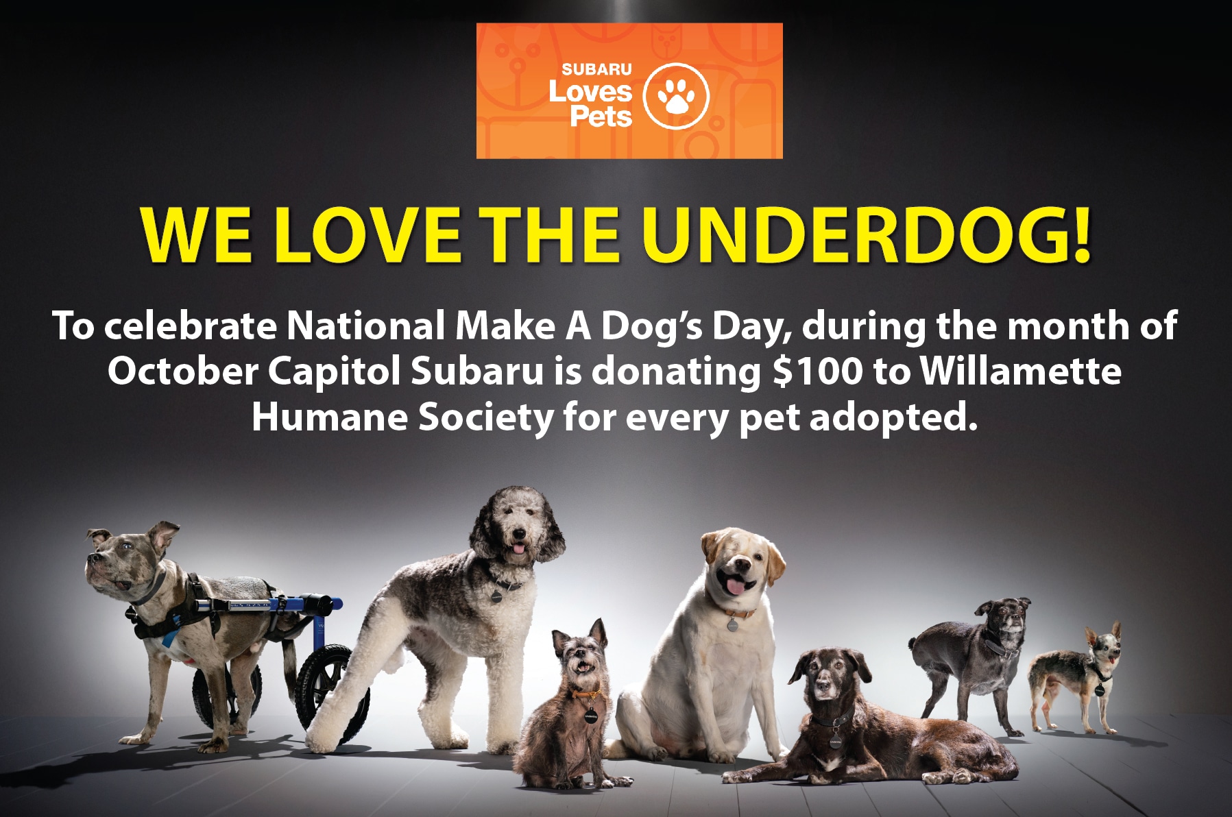 National Make A Dog's Day Capitol Subaru of Salem