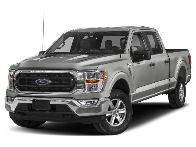 2023 Ford F-150 XL's photo