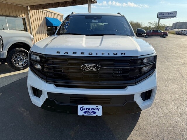 2025 Ford Expedition Platinum photo 3