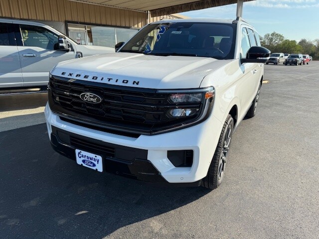2025 Ford Expedition Platinum photo 2