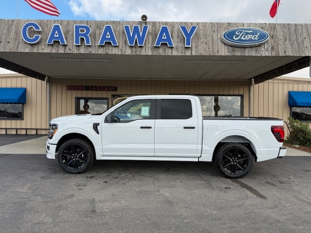 2025 Ford F-150 STX's photo