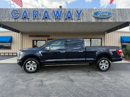 2021 Ford F-150 PLATINUM 4X4 Pickup