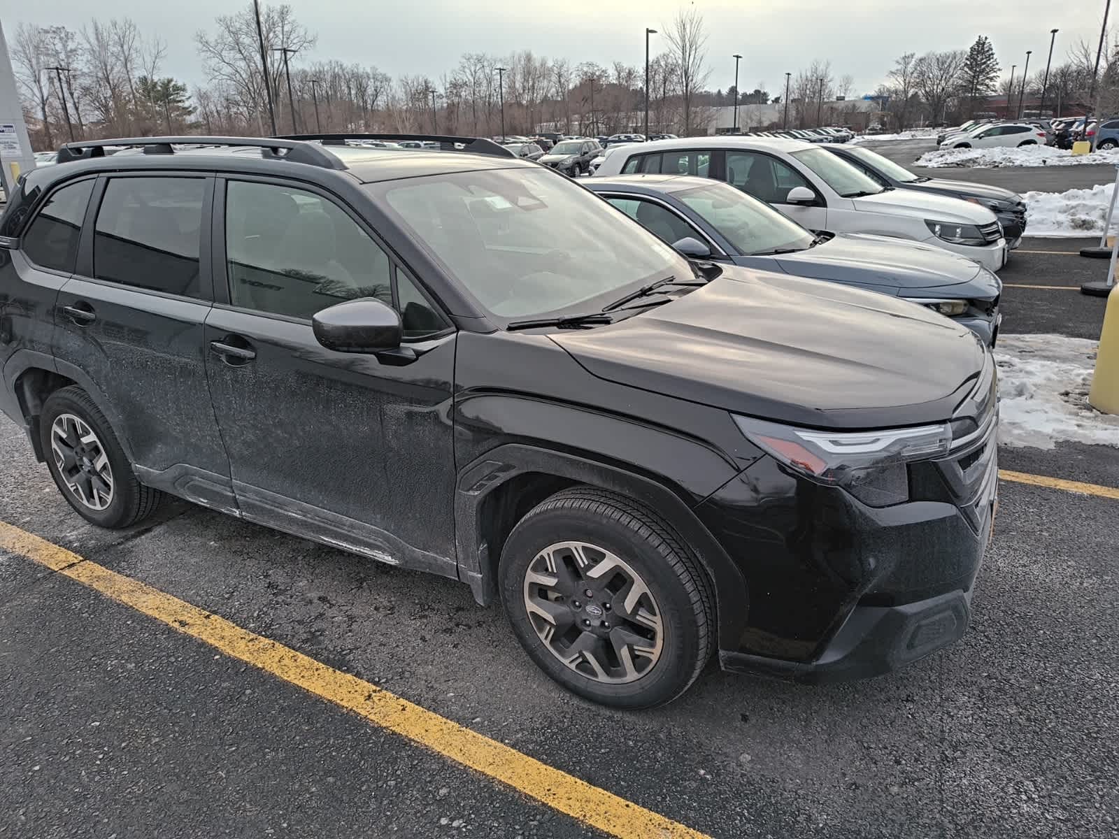 Thumbnail: 2025 Subaru Forester - 2