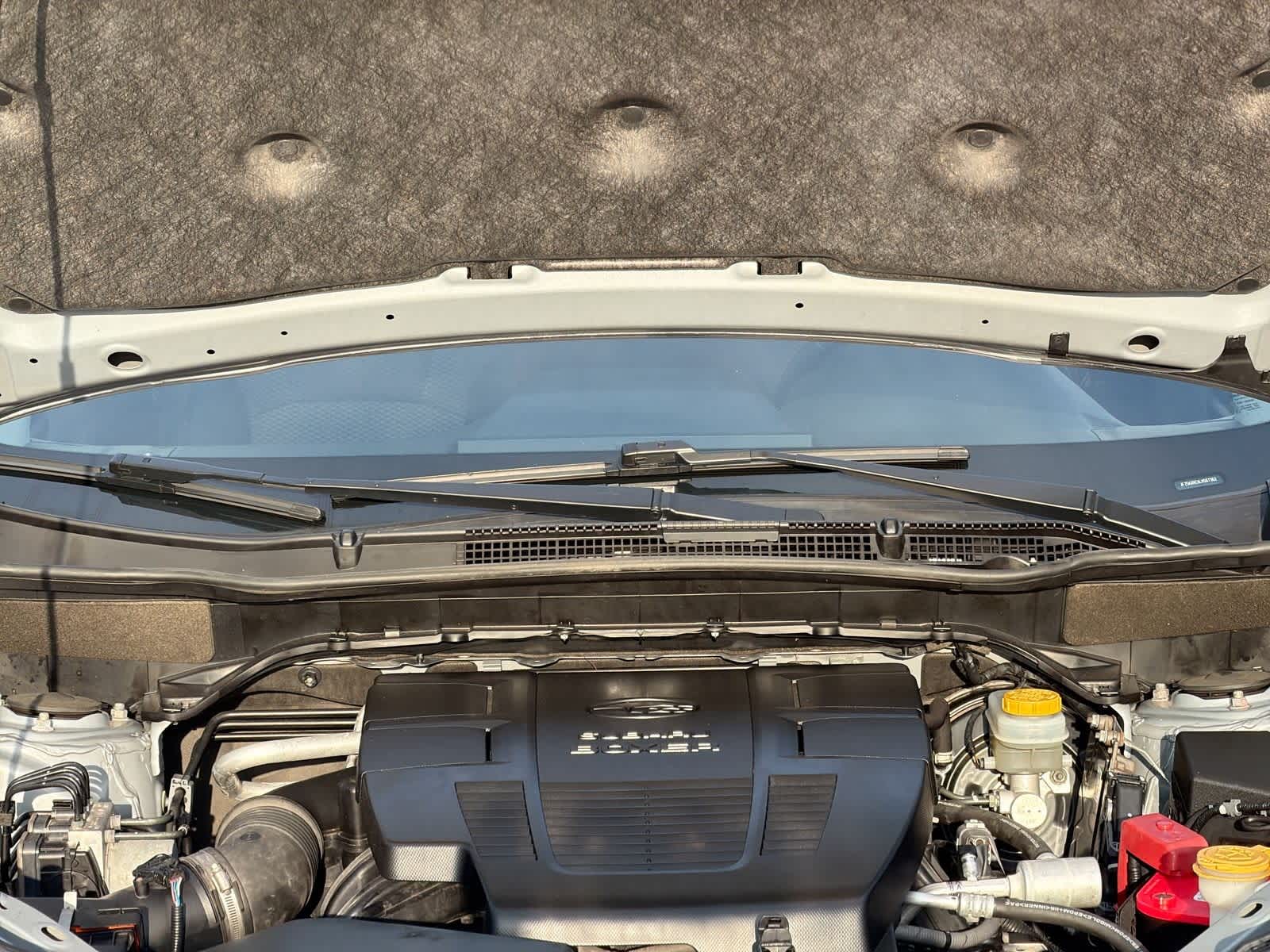 Thumbnail: 2020 Subaru Forester - 15