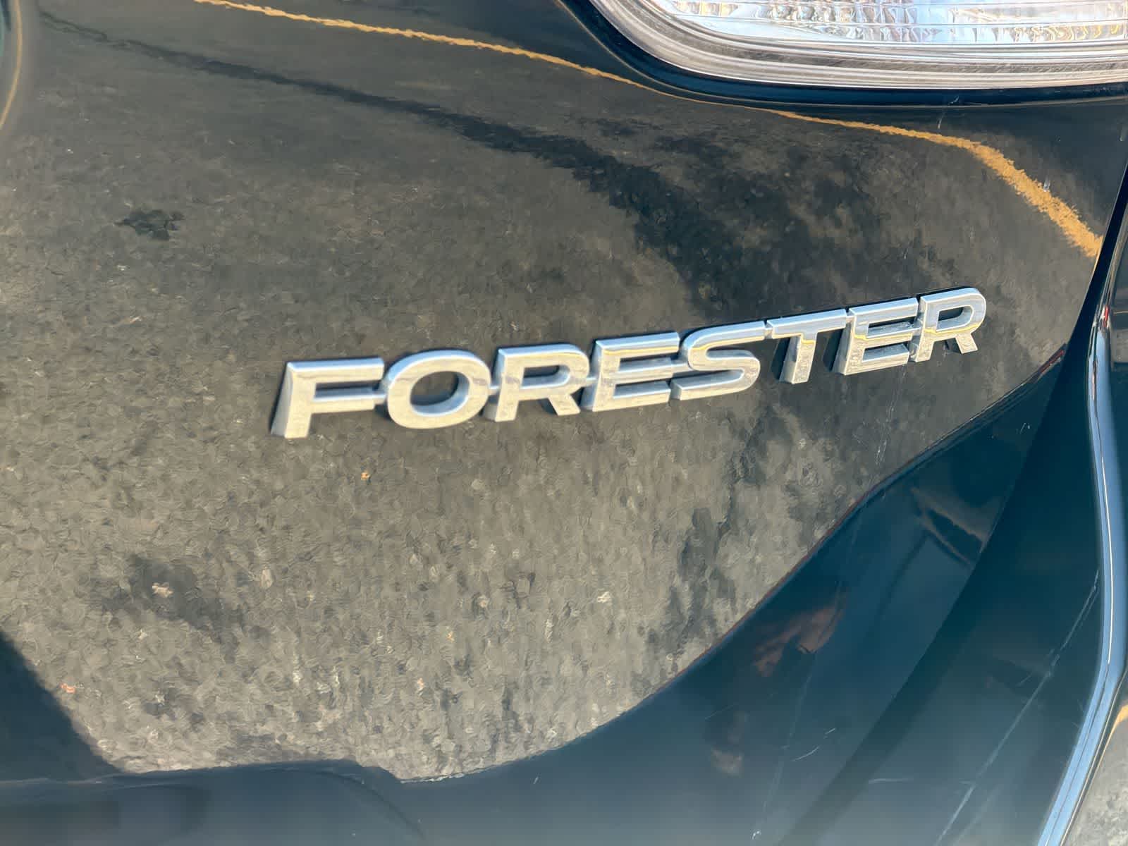 Thumbnail: 2019 Subaru Forester - 13