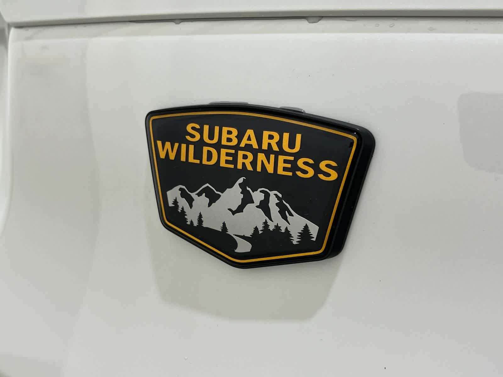 Thumbnail: 2026 Subaru Forester - 10