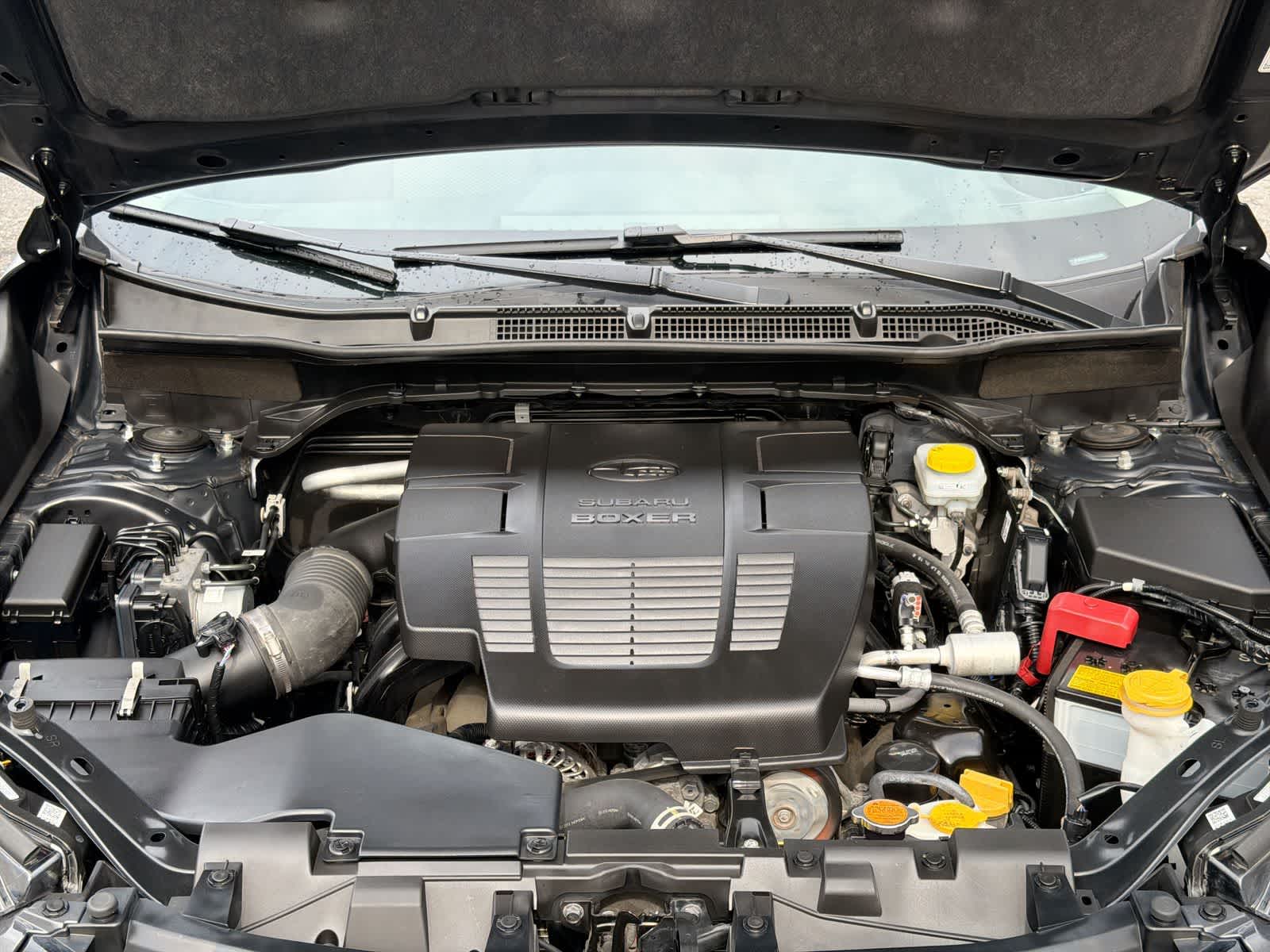 Thumbnail: 2023 Subaru Forester - 15