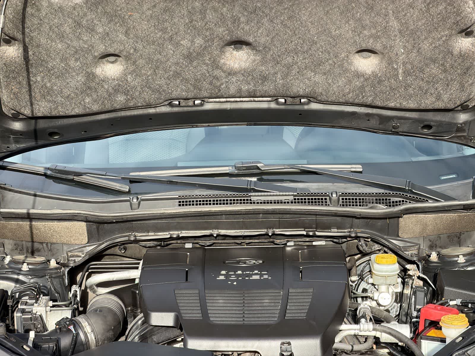 Thumbnail: 2020 Subaru Forester - 15