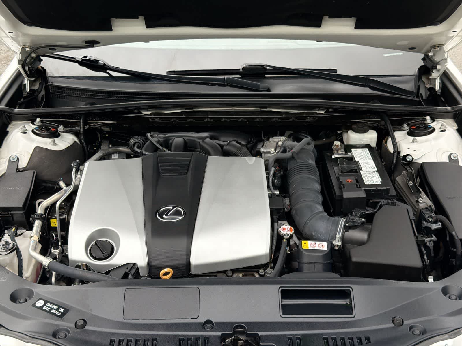 Thumbnail: 2021 Lexus ES - 15