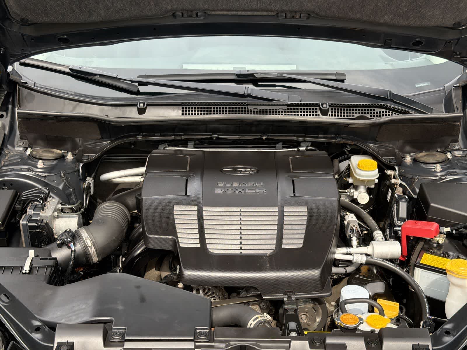 Thumbnail: 2020 Subaru Forester - 15