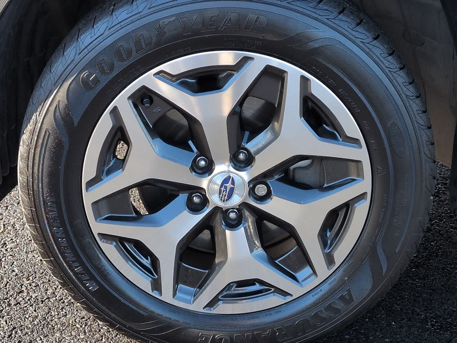 Thumbnail: 2020 Subaru Forester - 14