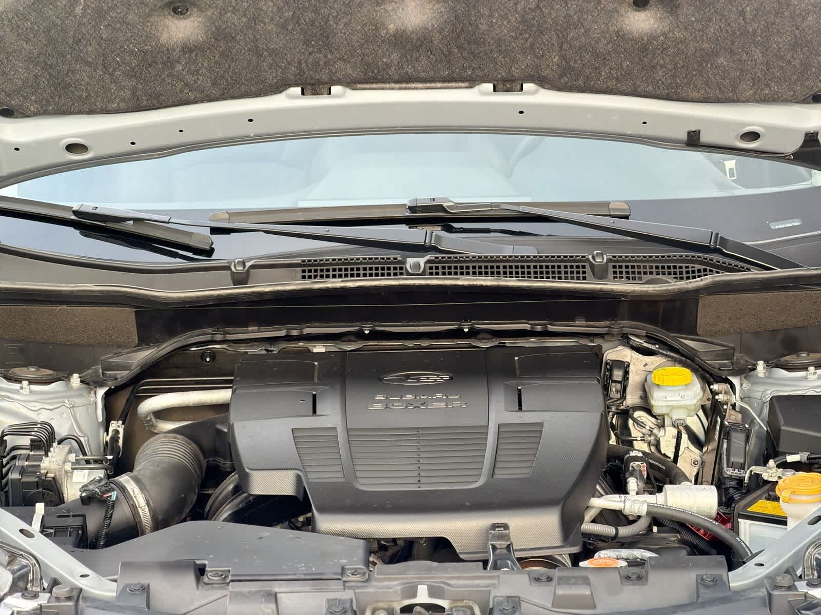 Thumbnail: 2024 Subaru Forester - 15