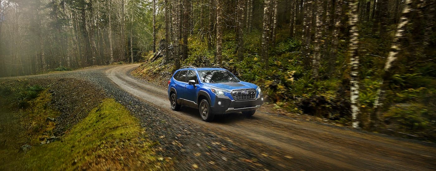 A blue 2022 Subaru Forester Wilderness is shown driving on a path in the woods.