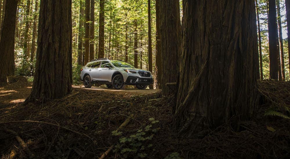 A silver 2022 Subaru Outback Onyx Edition is shown parked on a tree-lined path after leaving a Subaru dealer in Troy.