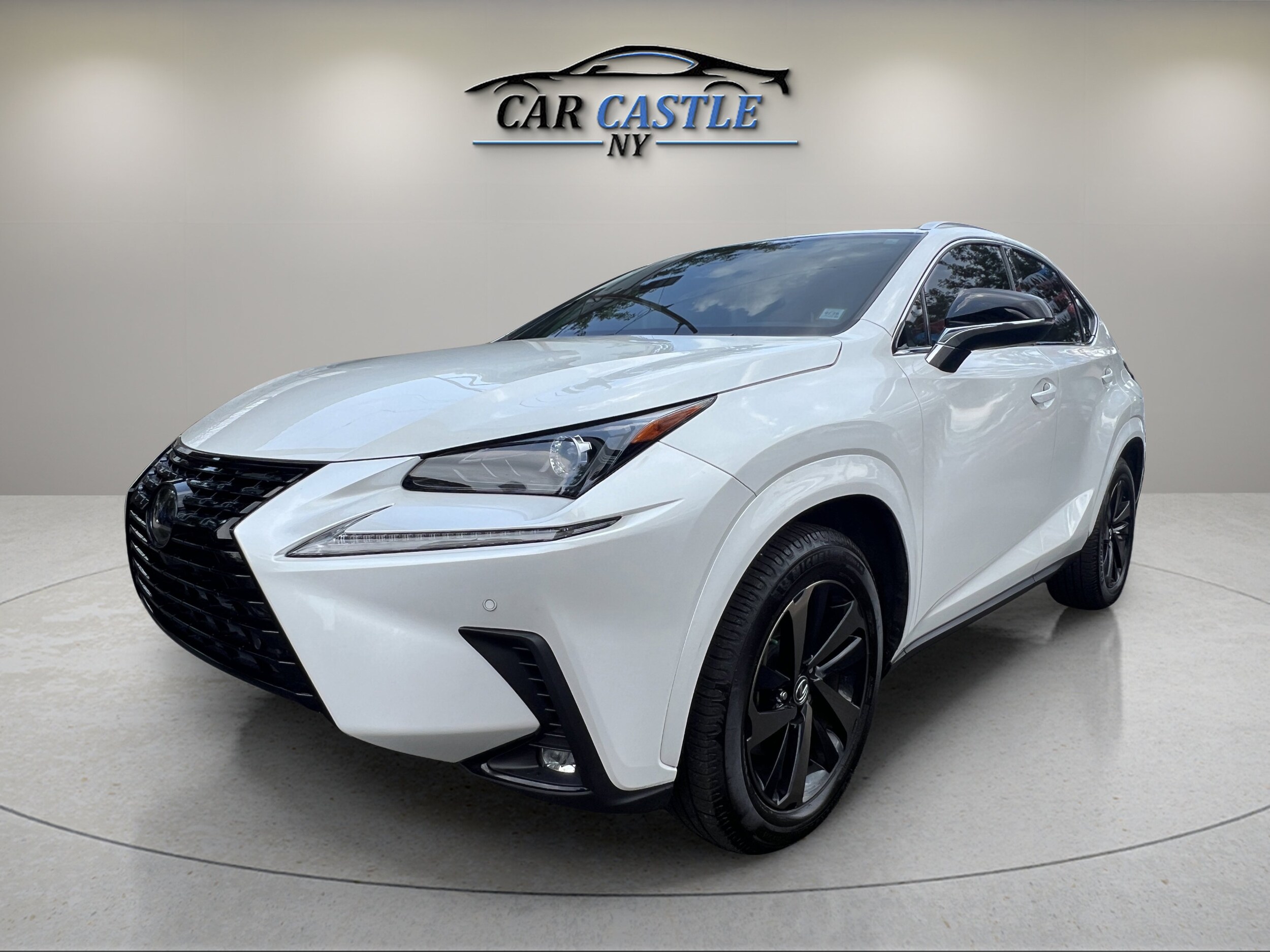 2020 Lexus NX 300 Premium photo 2