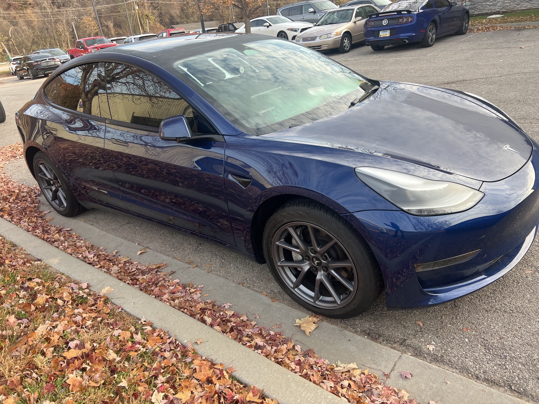 2023 Tesla Model 3 photo 2