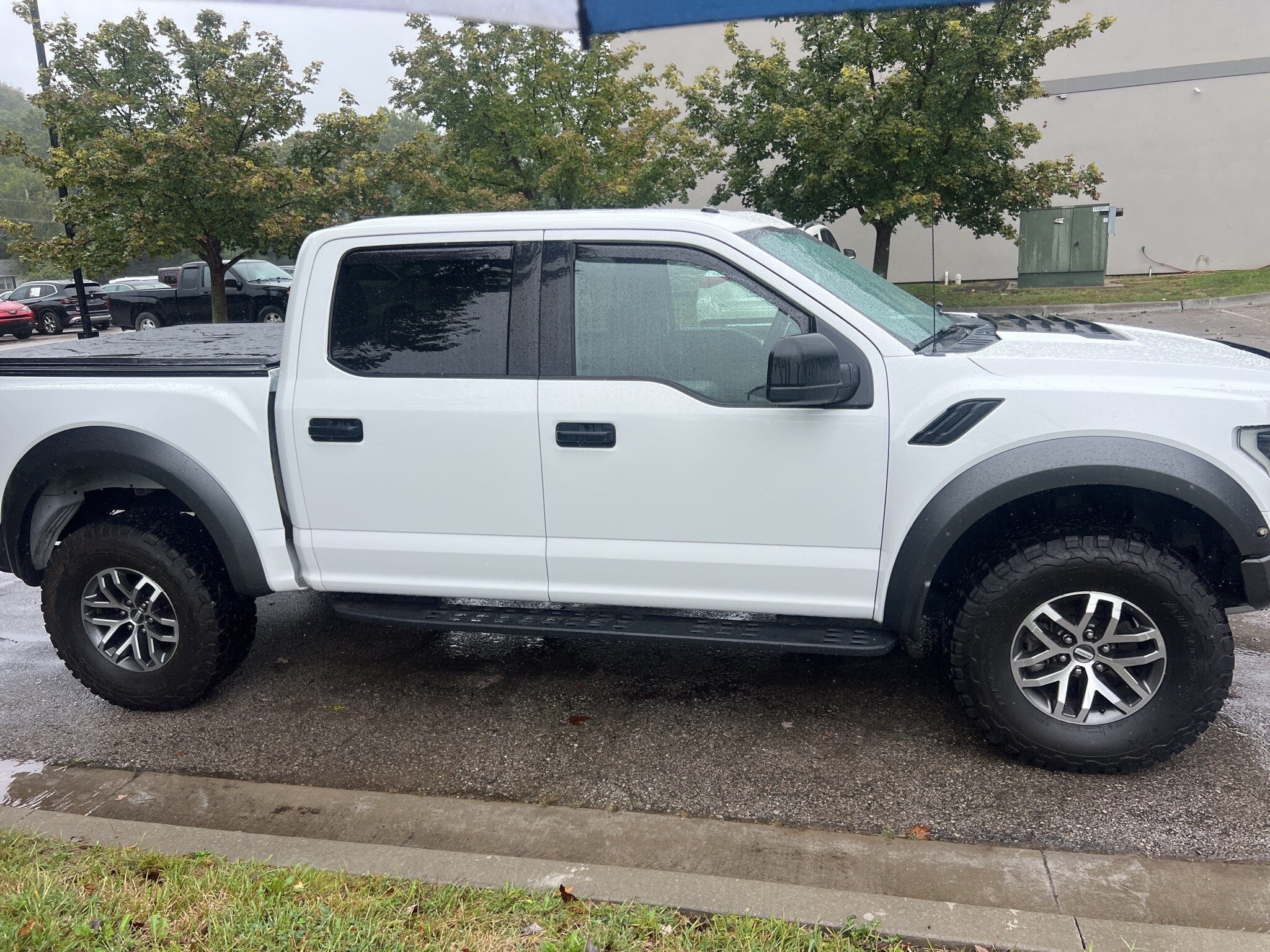 2017 Ford F-150 Raptor photo 3