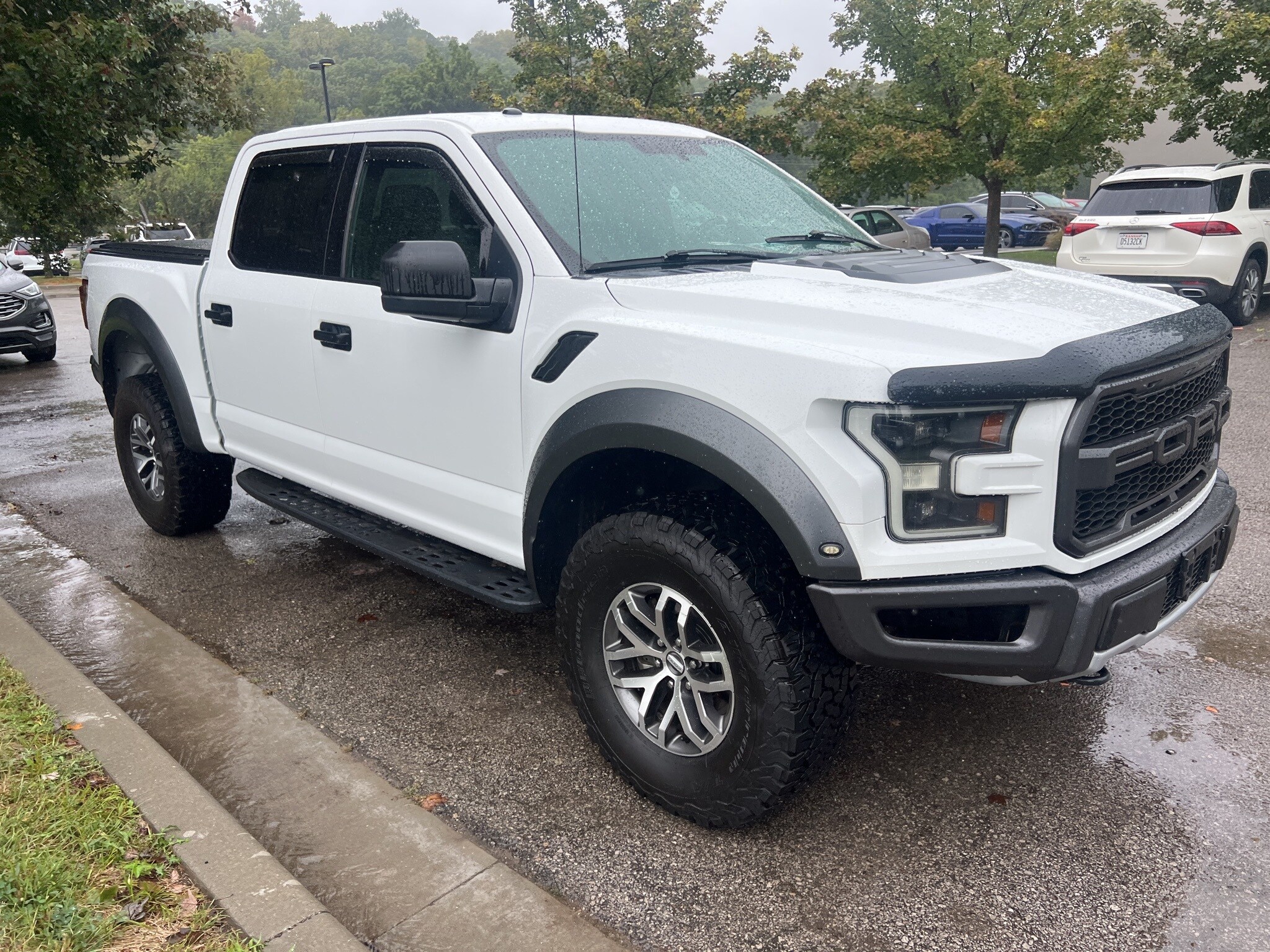 2017 Ford F-150 Raptor photo 2