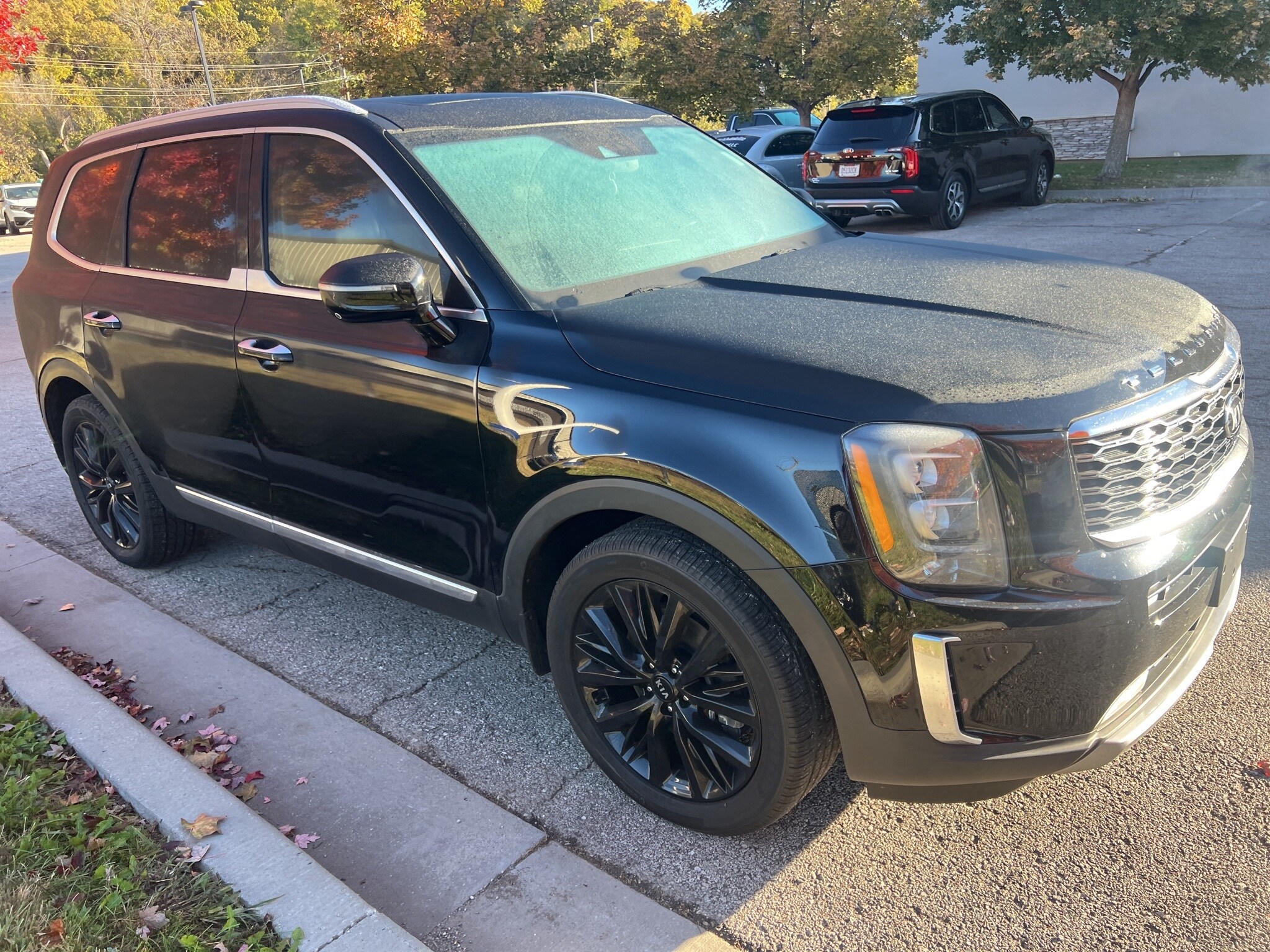 2020 Kia Telluride SX photo 3
