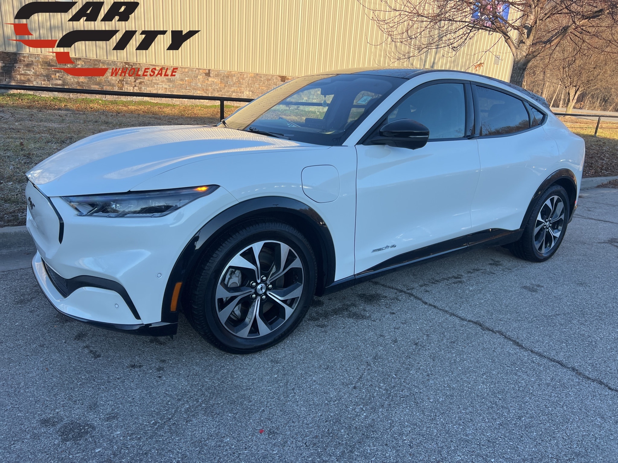 2021 Ford Mustang Mach-E Premium AWD's photo