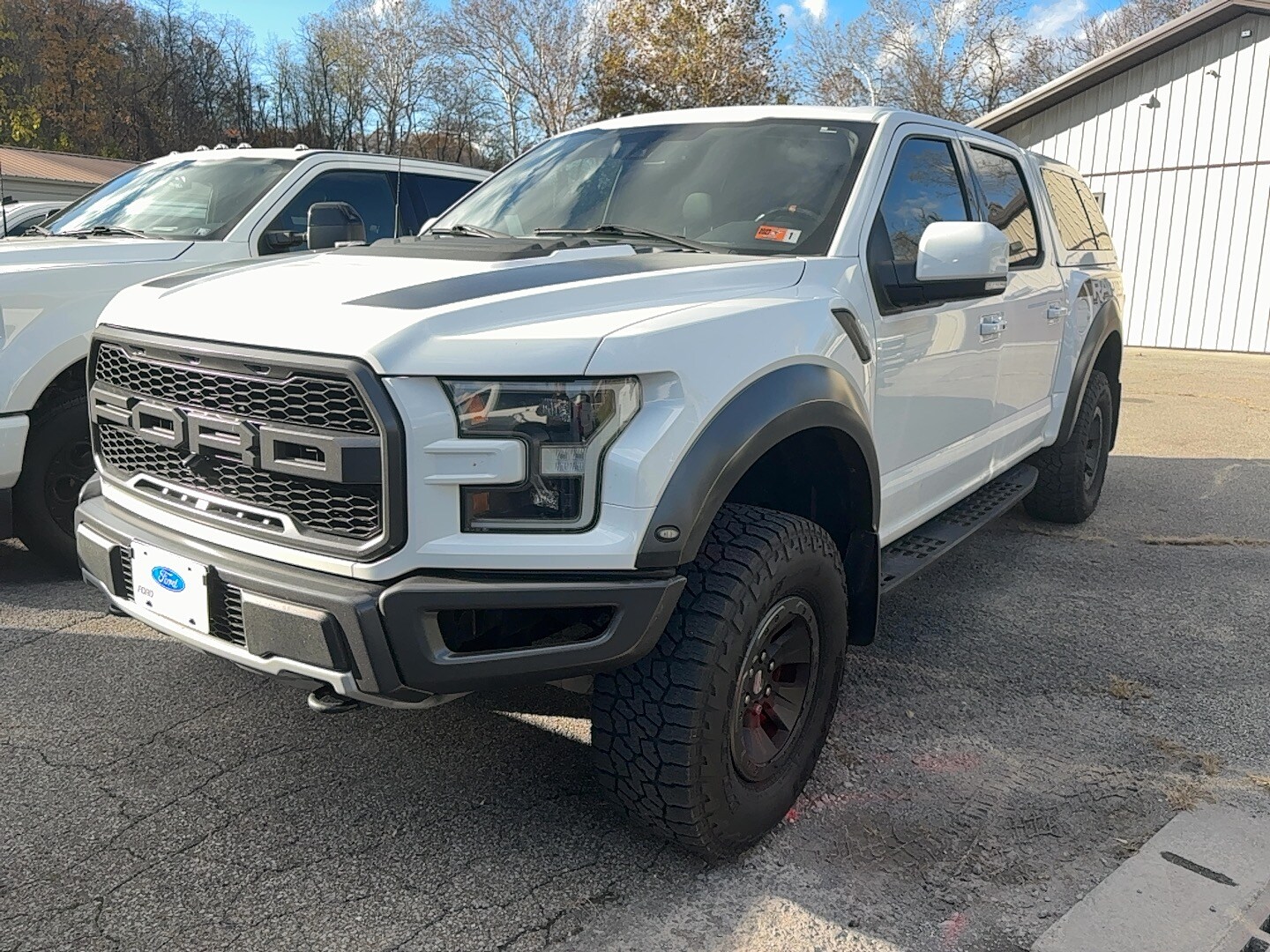 2018 Ford F-150 Raptor photo 2