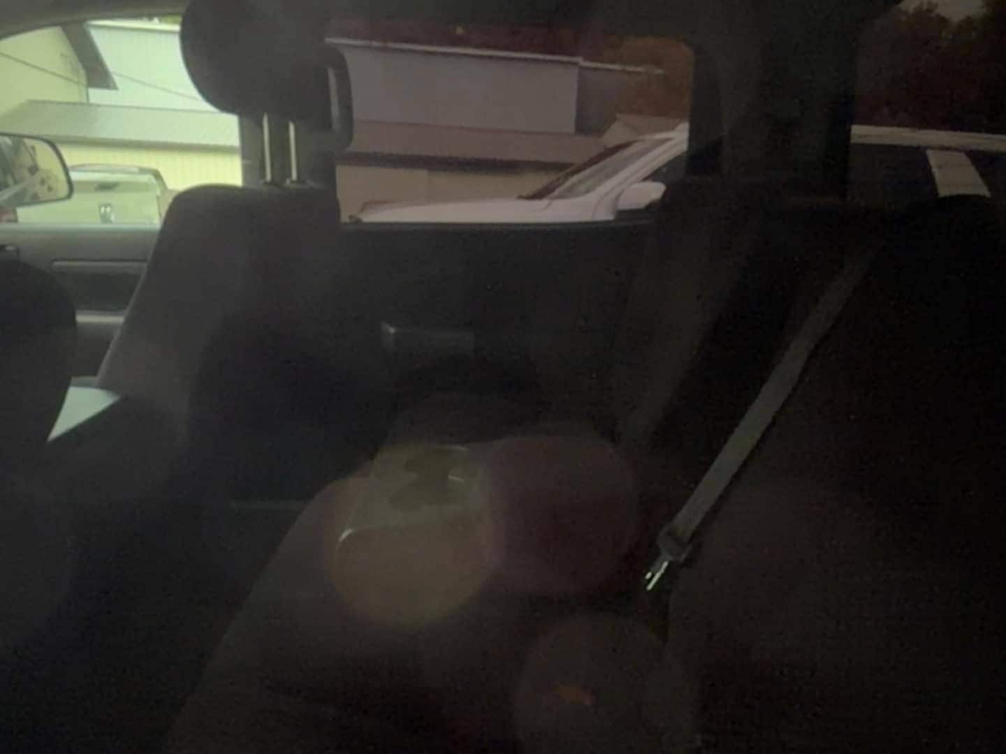 Photo 4