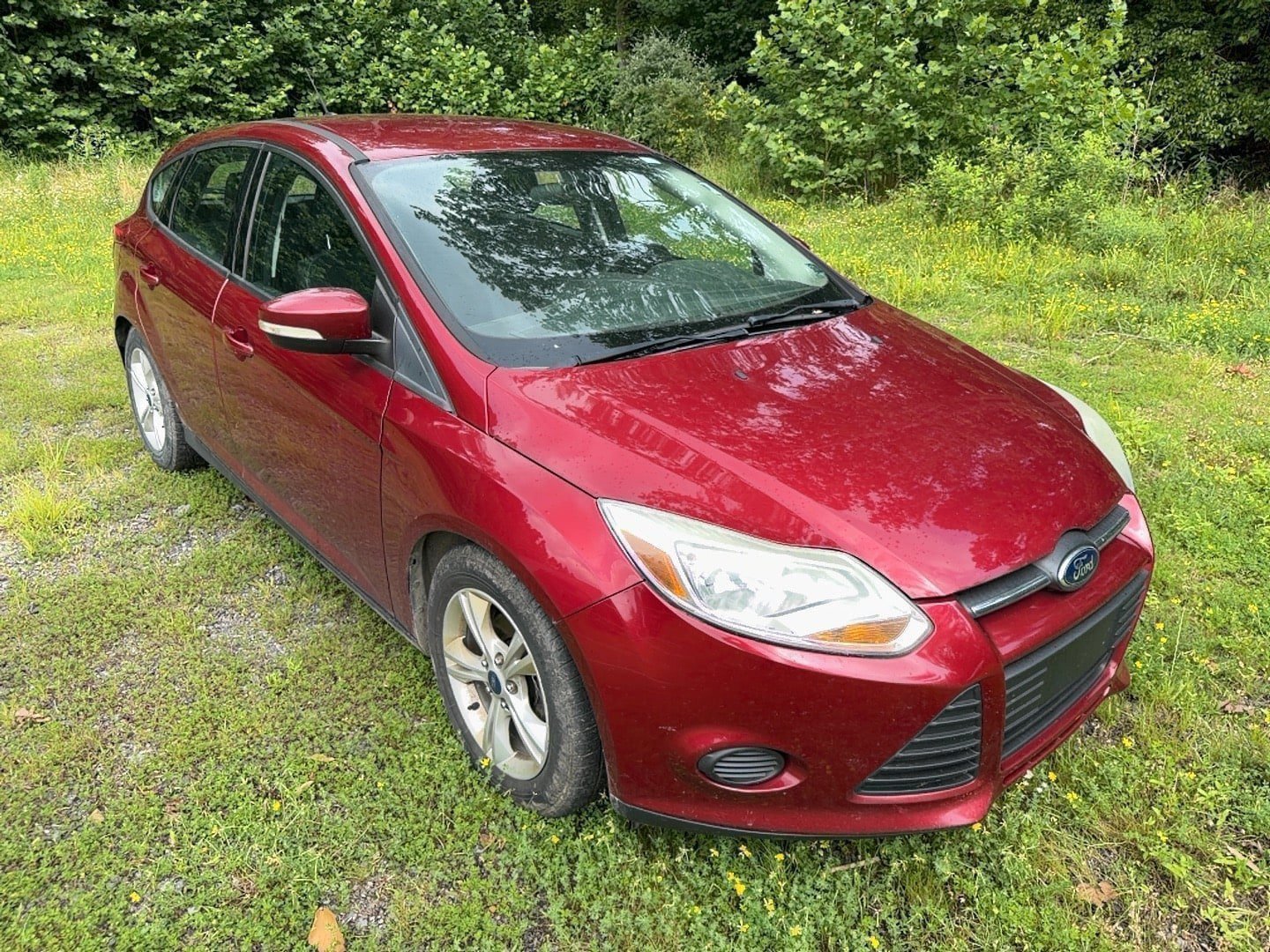 2014 Ford Focus SE Hatchback