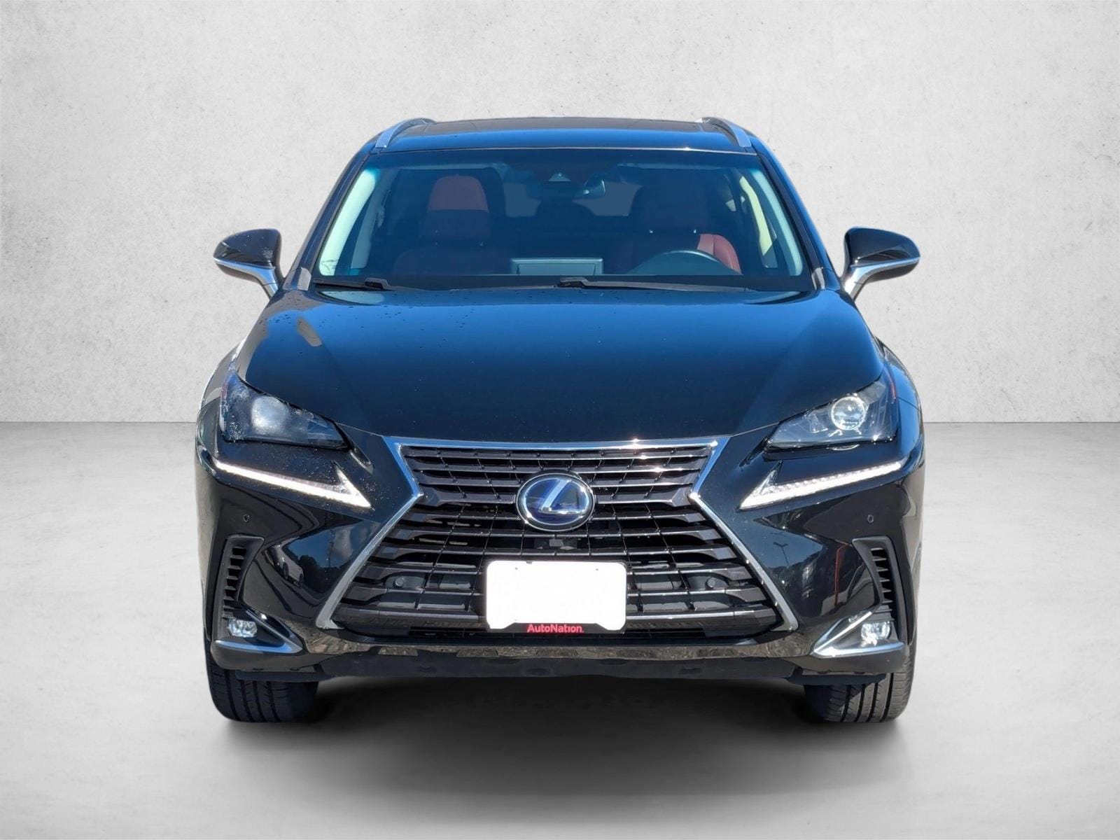 2019 Lexus NX 300h Luxury photo 2