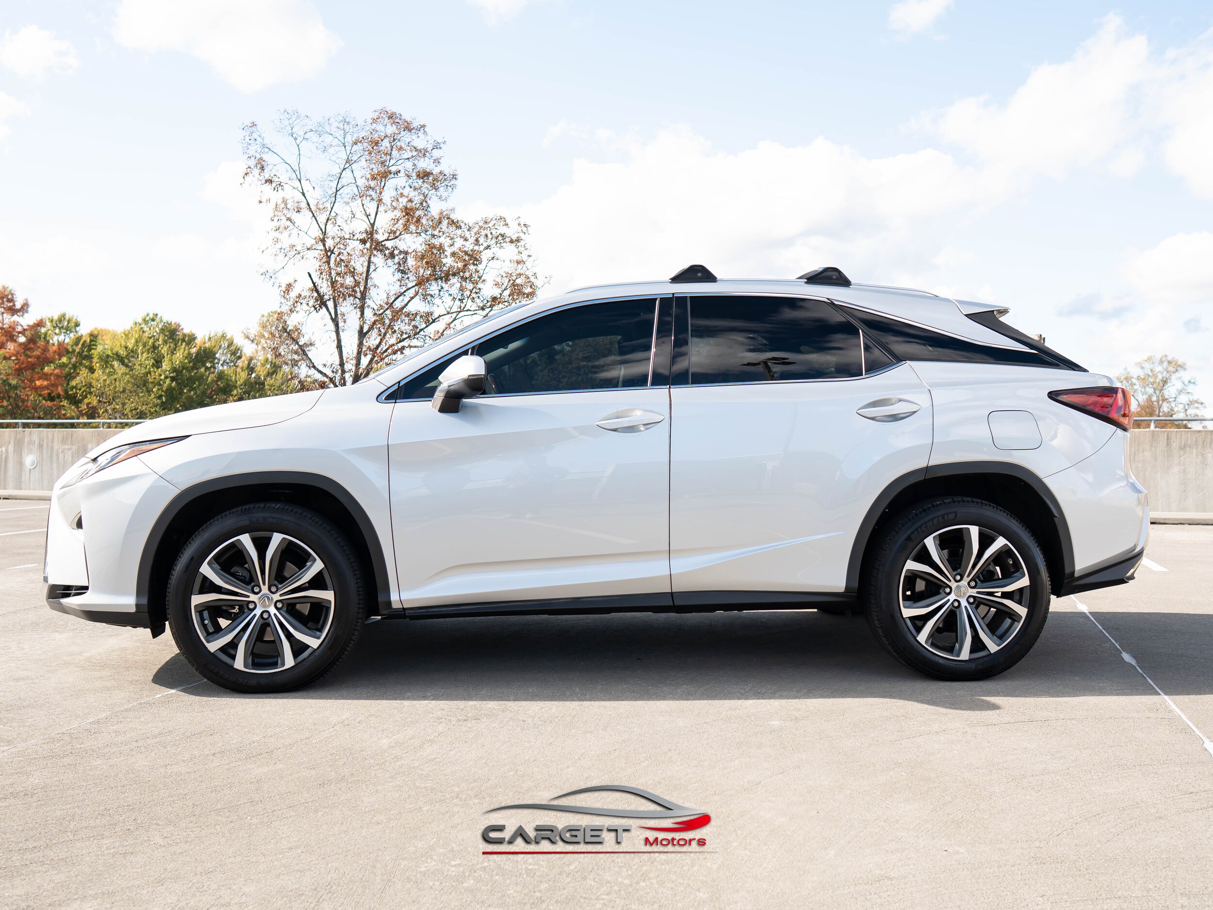 2016 Lexus RX 350 photo 4