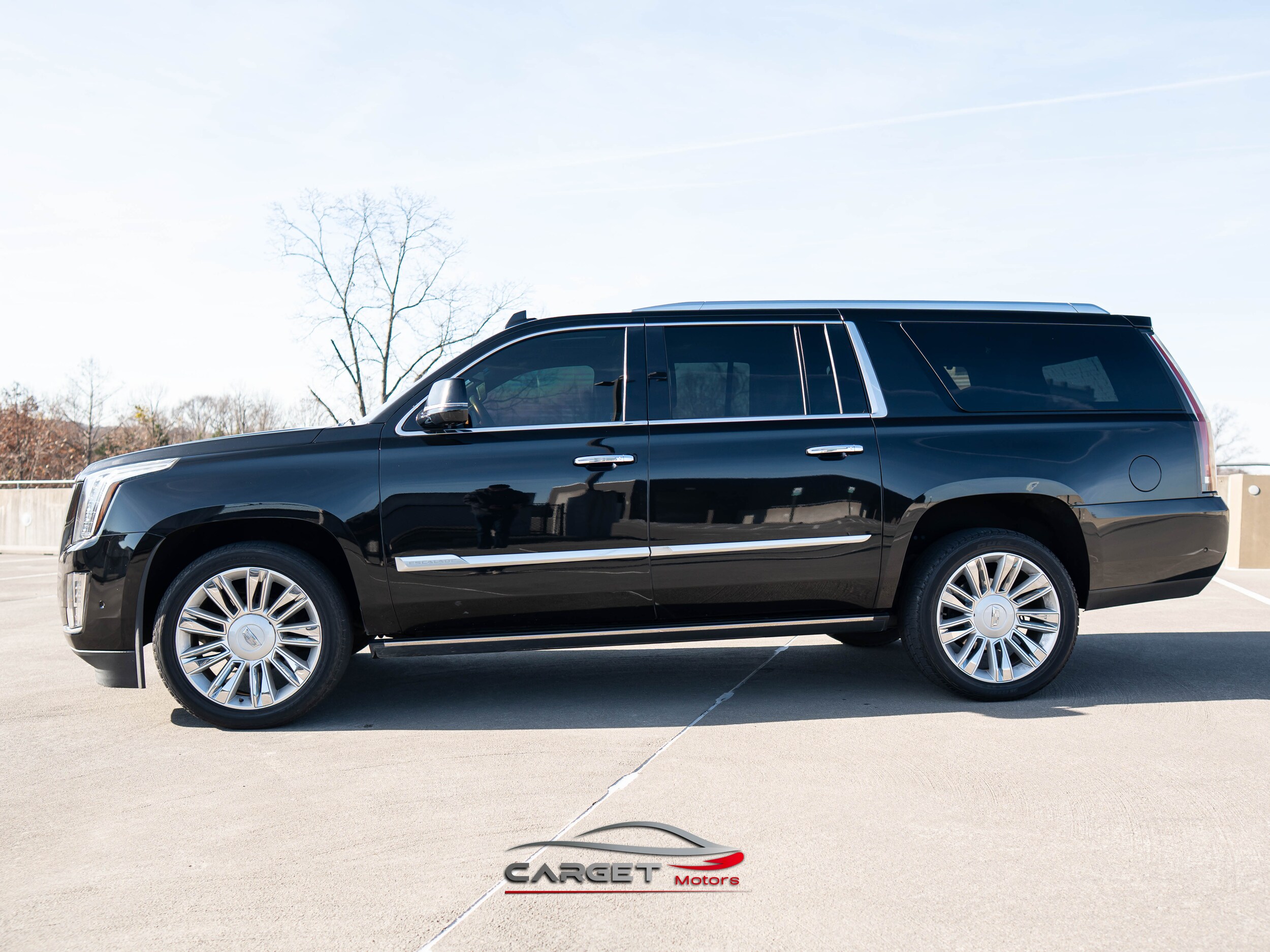 2020 Cadillac Escalade ESV Platinum photo 3