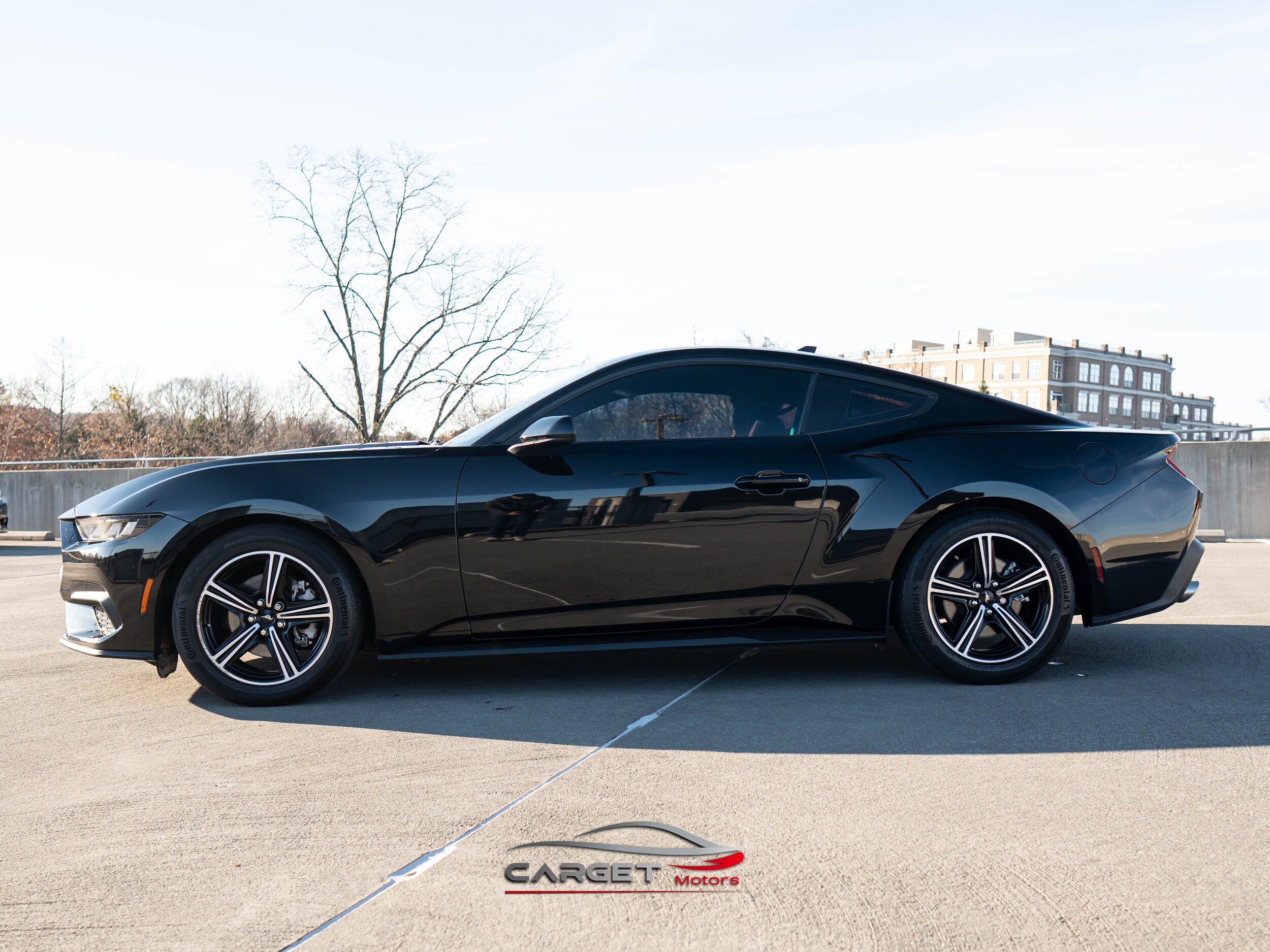 2024 Ford Mustang EcoBoost photo 2