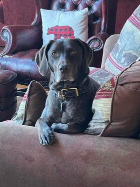 Staff member Emmy from ID_8e4ade52281a