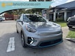  Kia Niro EV