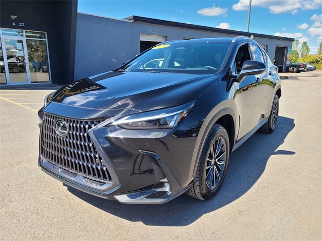 2024 Lexus NX 350's photo