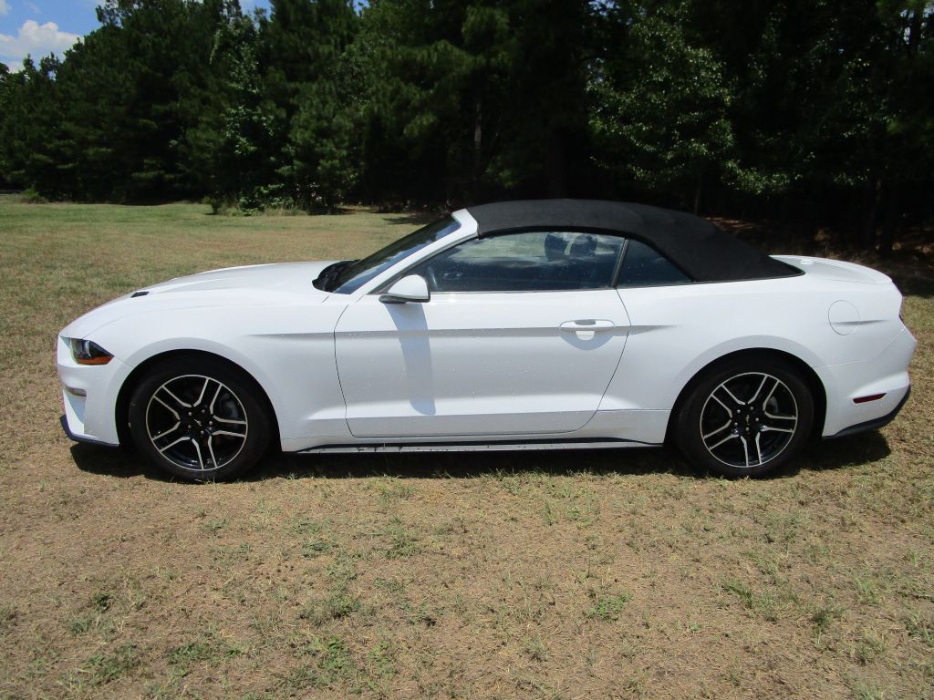 Used 2022 Ford Mustang EcoBoost with VIN 1FATP8UH9N5102307 for sale in Columbus, MS