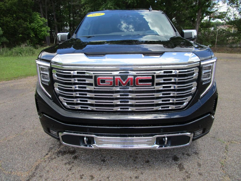 2025 Gmc Sierra 1500 Denali photo 4