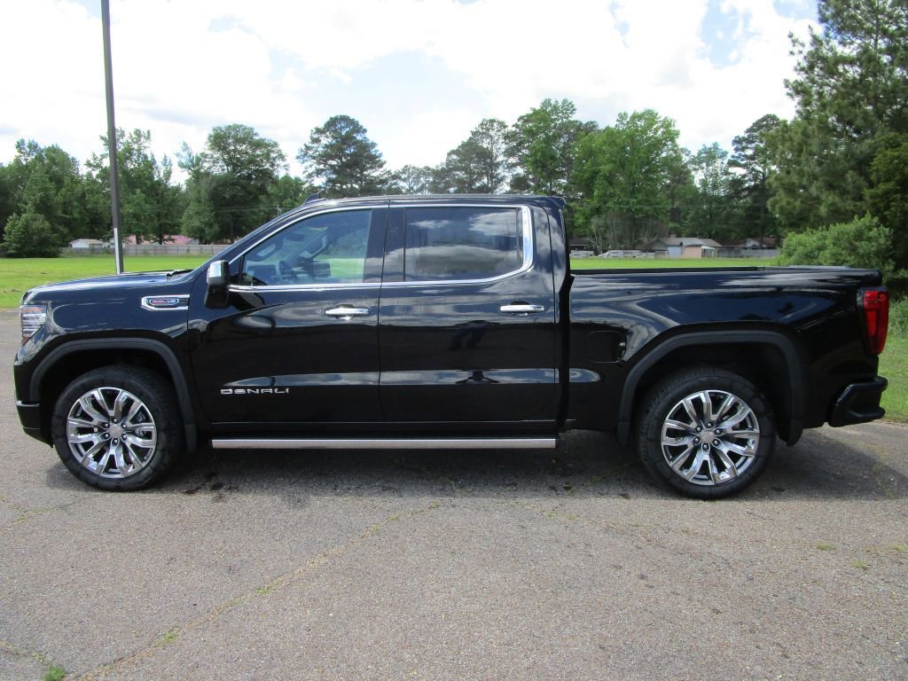 2025 Gmc Sierra 1500 Denali photo 2