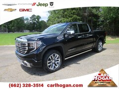 2025 GMC Sierra 1500 Denali Truck