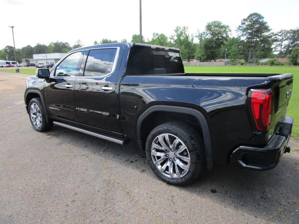 2025 Gmc Sierra 1500 Denali photo 3