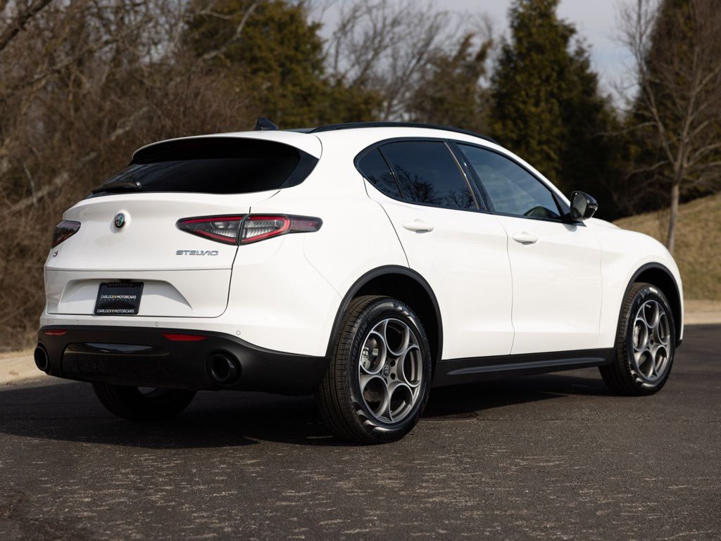 2026 Alfa Romeo Stelvio Base - Photo 9