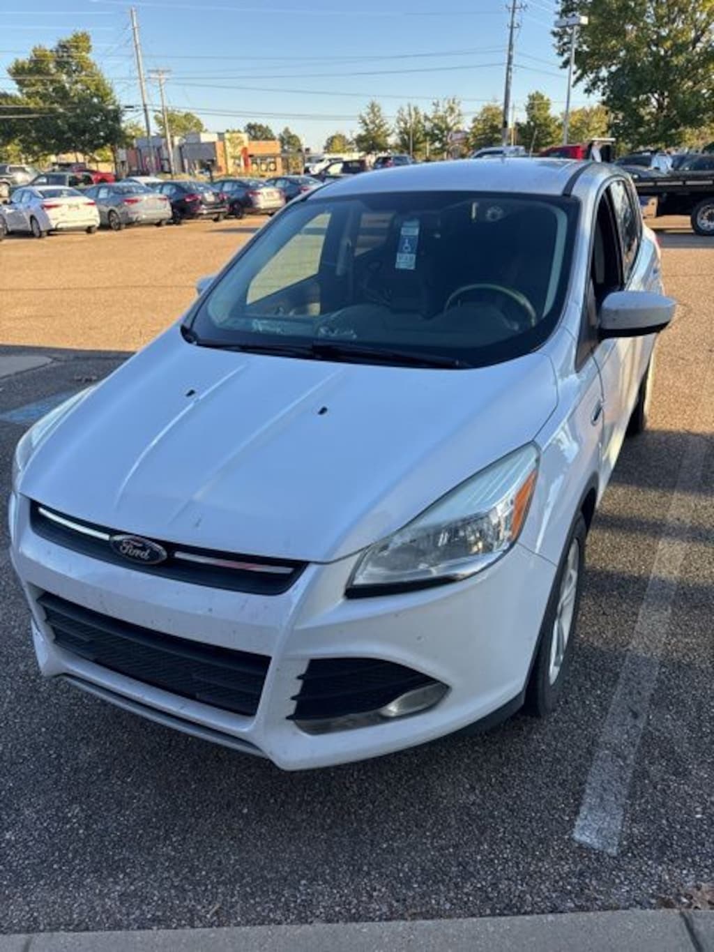 Used 2014 Ford Escape SE SUV