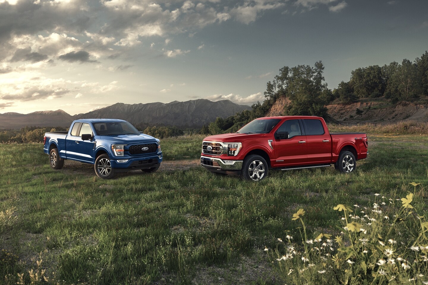 Ford trucks.jpg
