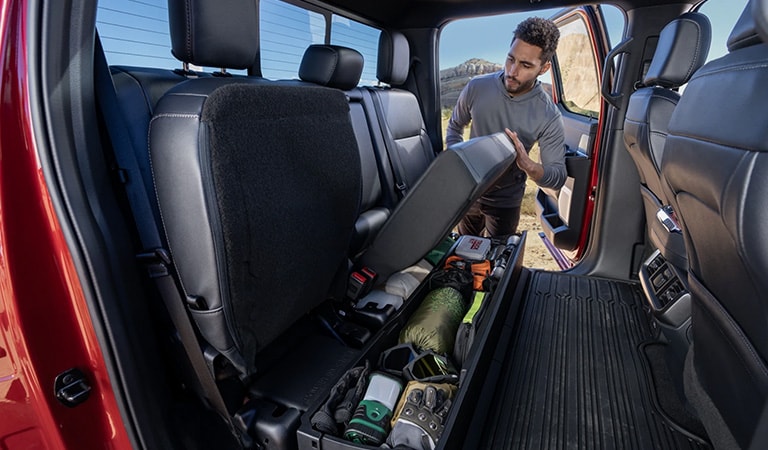 Carlsbad New Mexico 2025 Ford F-150