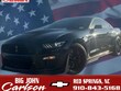  Ford Shelby GT500