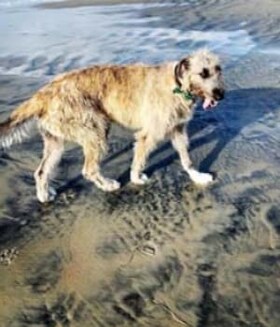 Staff member MAGNUS CARLSON from ID_b560b5