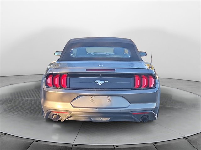 2023 Ford Mustang EcoBoost Premium Convertible photo 4