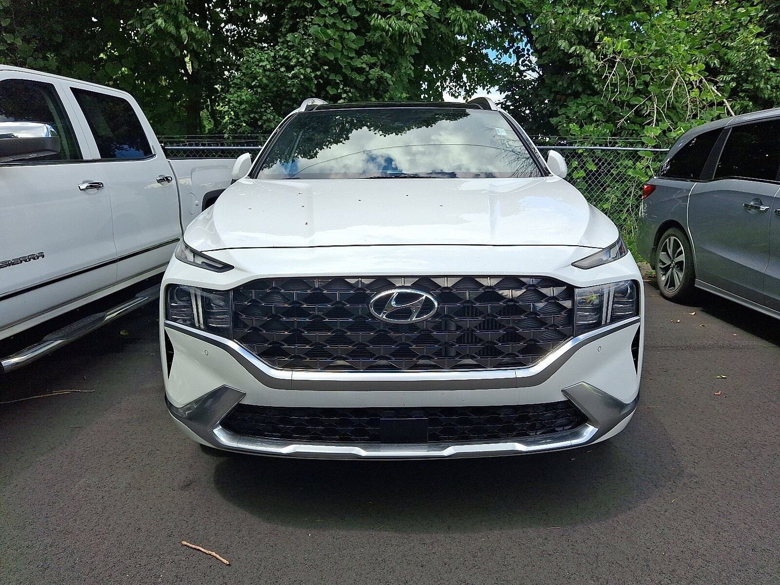 2023 Hyundai Santa Fe Calligraphy photo 2