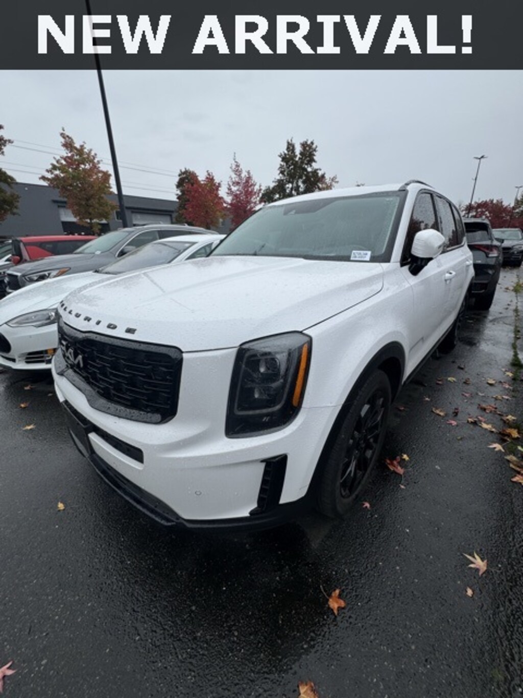 Certified 2022 Kia Telluride SX SUV