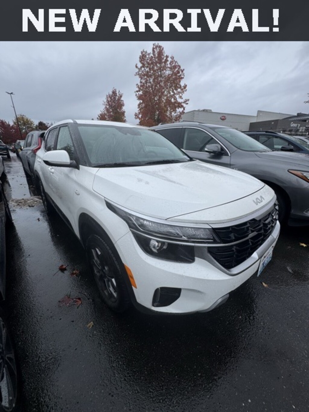 Used 2024 Kia Seltos LX SUV